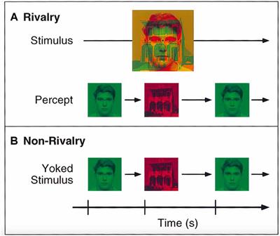 The No-Report Paradigm: A Revolution in Consciousness Research?